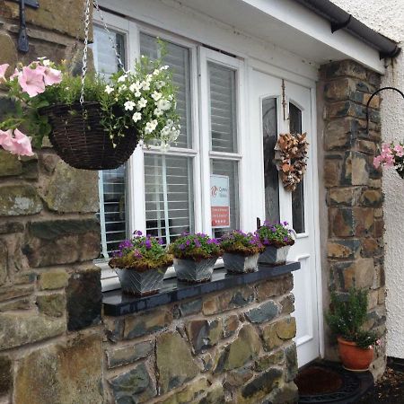 Snowdonia Snug - Studio Style Accommodation Долгеллау Экстерьер фото