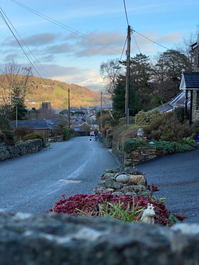 Snowdonia Snug - Studio Style Accommodation Долгеллау Экстерьер фото