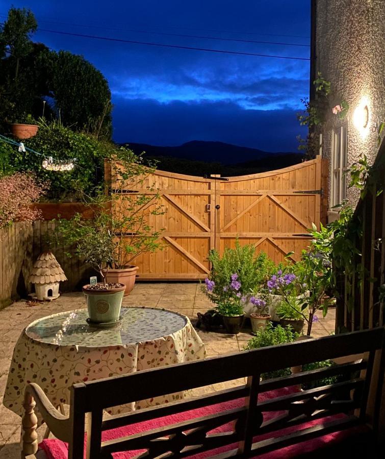 Snowdonia Snug - Studio Style Accommodation Долгеллау Экстерьер фото